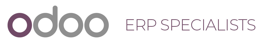 Fidenum Odoo Partner